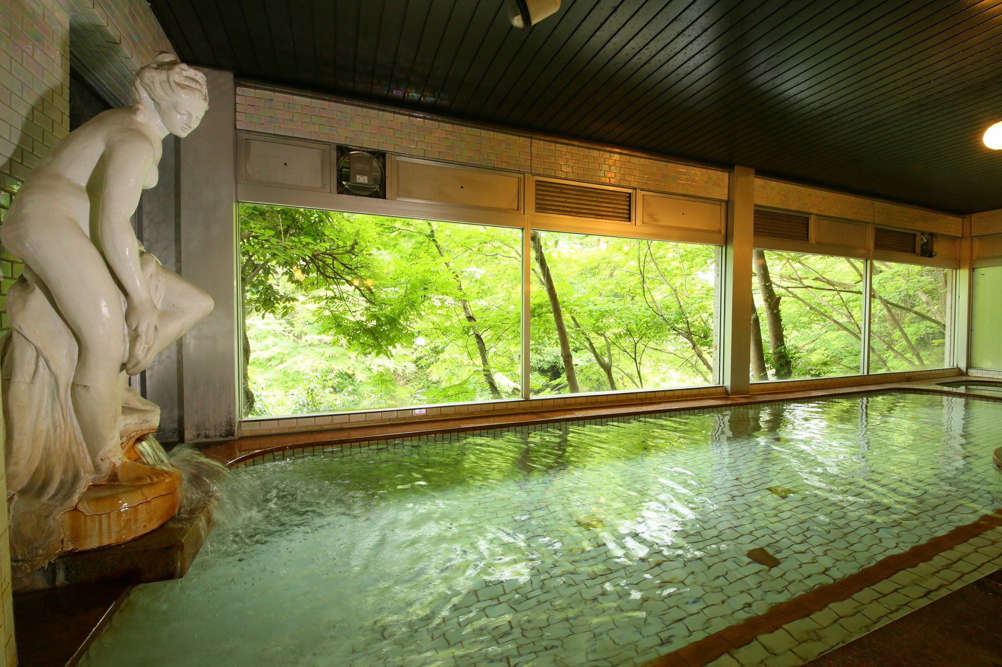 Hotel Miyama Chichibu Extérieur photo
